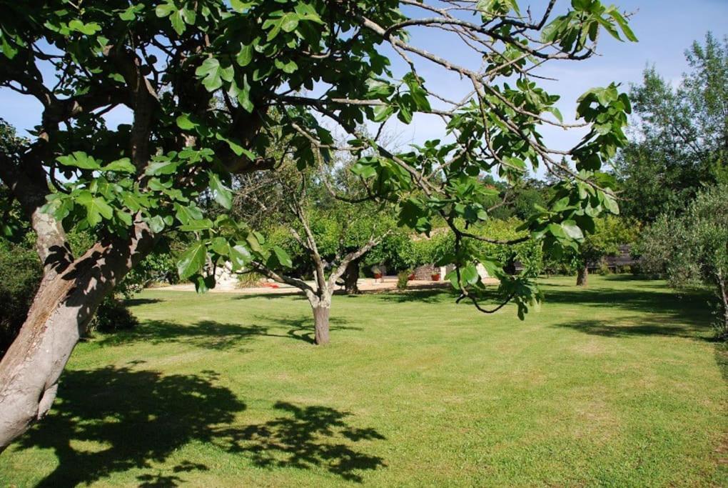 Gite De Charme 80 M², Piscine, Proche D'Uzes. Vezenobres Εξωτερικό φωτογραφία