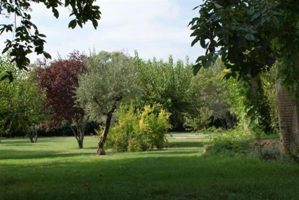 Gite De Charme 80 M², Piscine, Proche D'Uzes. Vezenobres Εξωτερικό φωτογραφία