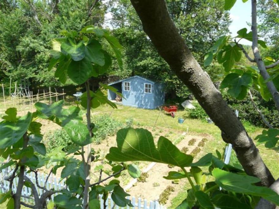 Gite De Charme 80 M², Piscine, Proche D'Uzes. Vezenobres Εξωτερικό φωτογραφία