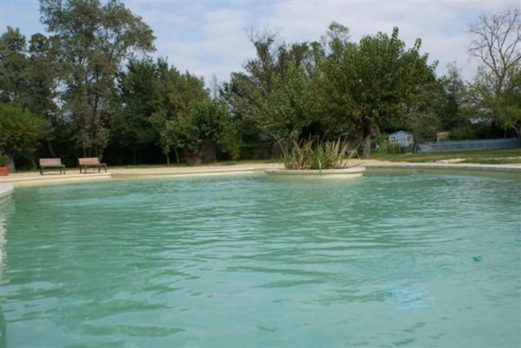 Gite De Charme 80 M², Piscine, Proche D'Uzes. Vezenobres Εξωτερικό φωτογραφία