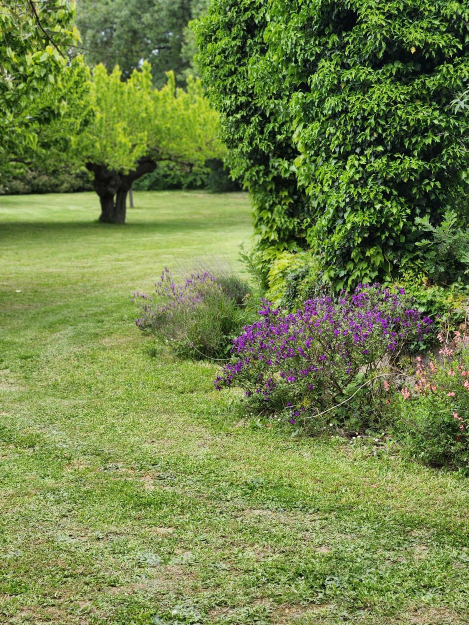 Gite De Charme 80 M², Piscine, Proche D'Uzes. Vezenobres Εξωτερικό φωτογραφία